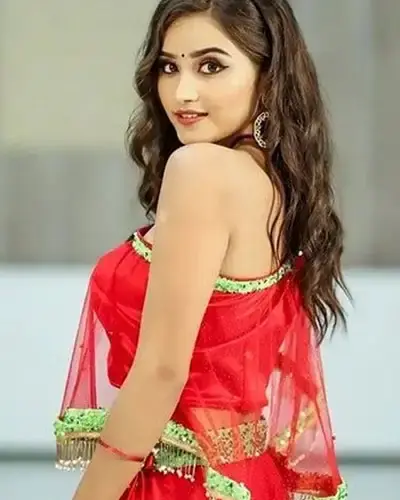 Escort In Nagaur